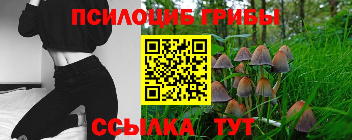 Первоуральск  Псилоцибиновые грибы Psilocybe  наркотики  Галлюциногенные грибы Psilocybine cubensis  Вход с VPN 