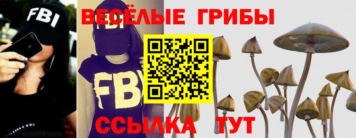 Псилоцибиновые грибы мухоморы Первоуральск